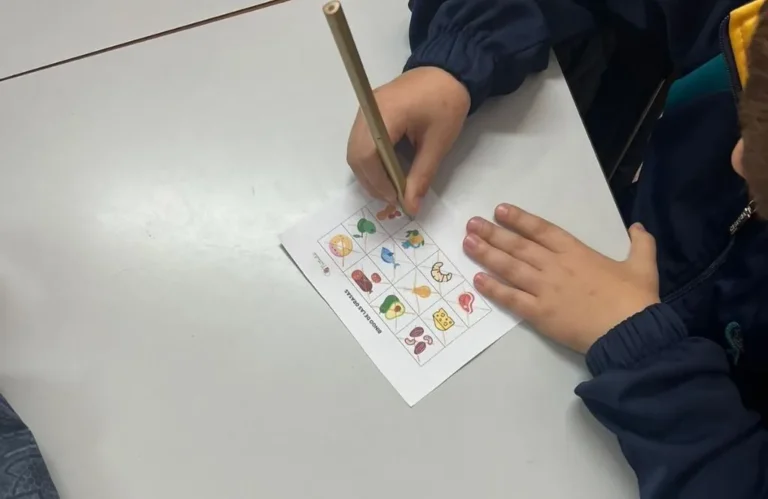 Estrategias educativas en nutrición · Nuttralia · Blog · Bingo