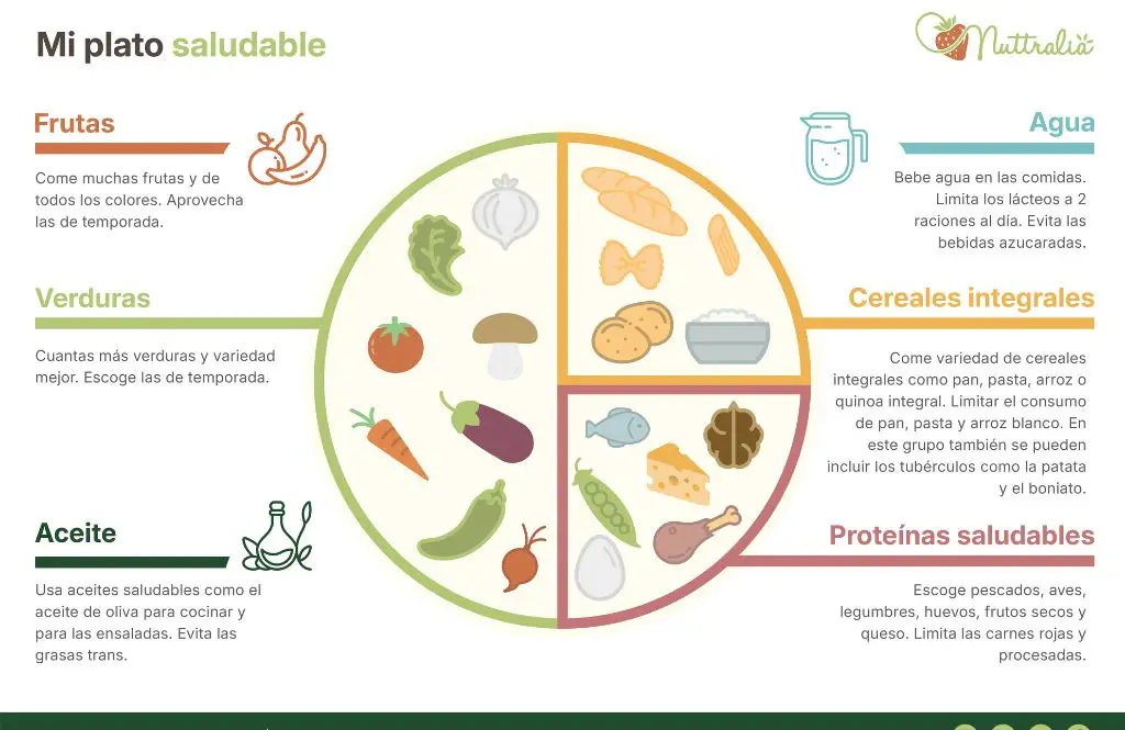 Plato saludable · Nuttralia · Blog · Esquema